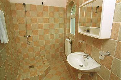 Bath room - Laguna Pension Mogyorod