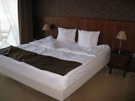 Standard Plus rum med speciella sängar - Szepia Bio och Art Hotell, Ungern